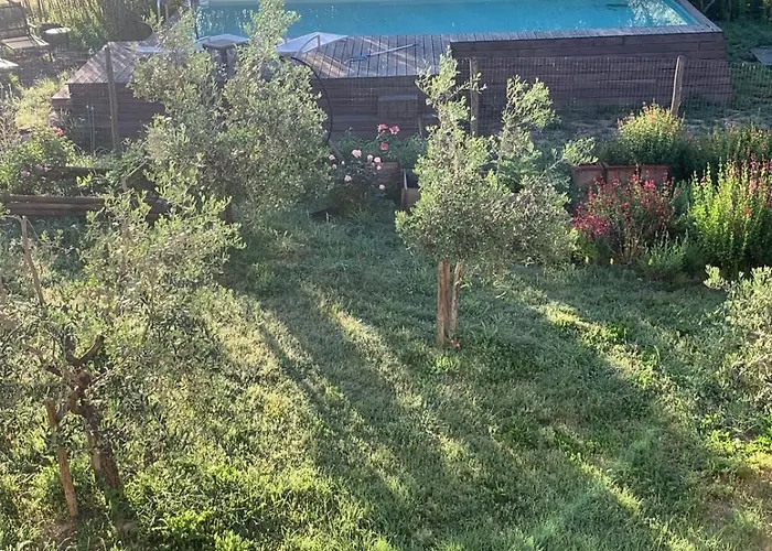 Alice - Podere Ribatti